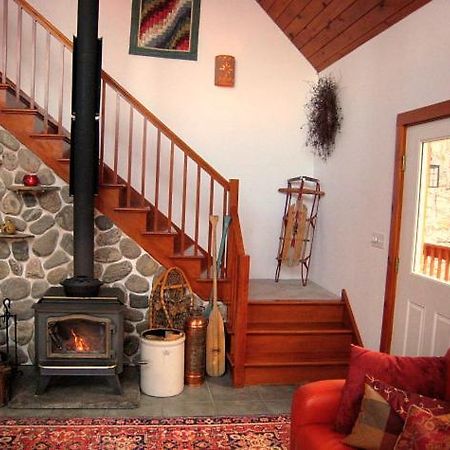 The Catskill Cabin Elka Park المظهر الخارجي الصورة
