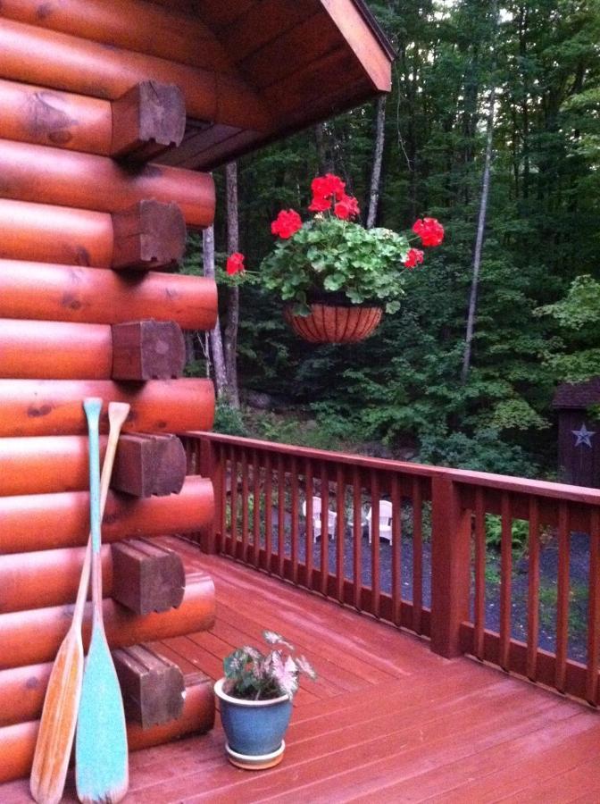 The Catskill Cabin Elka Park المظهر الخارجي الصورة